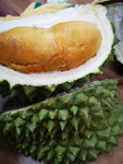 D200 Blackthorn Frozen Wholefruit Durian **ADELAIDE ONLY**