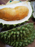 D200 Blackthorn Frozen Wholefruit Durian **ADELAIDE ONLY**